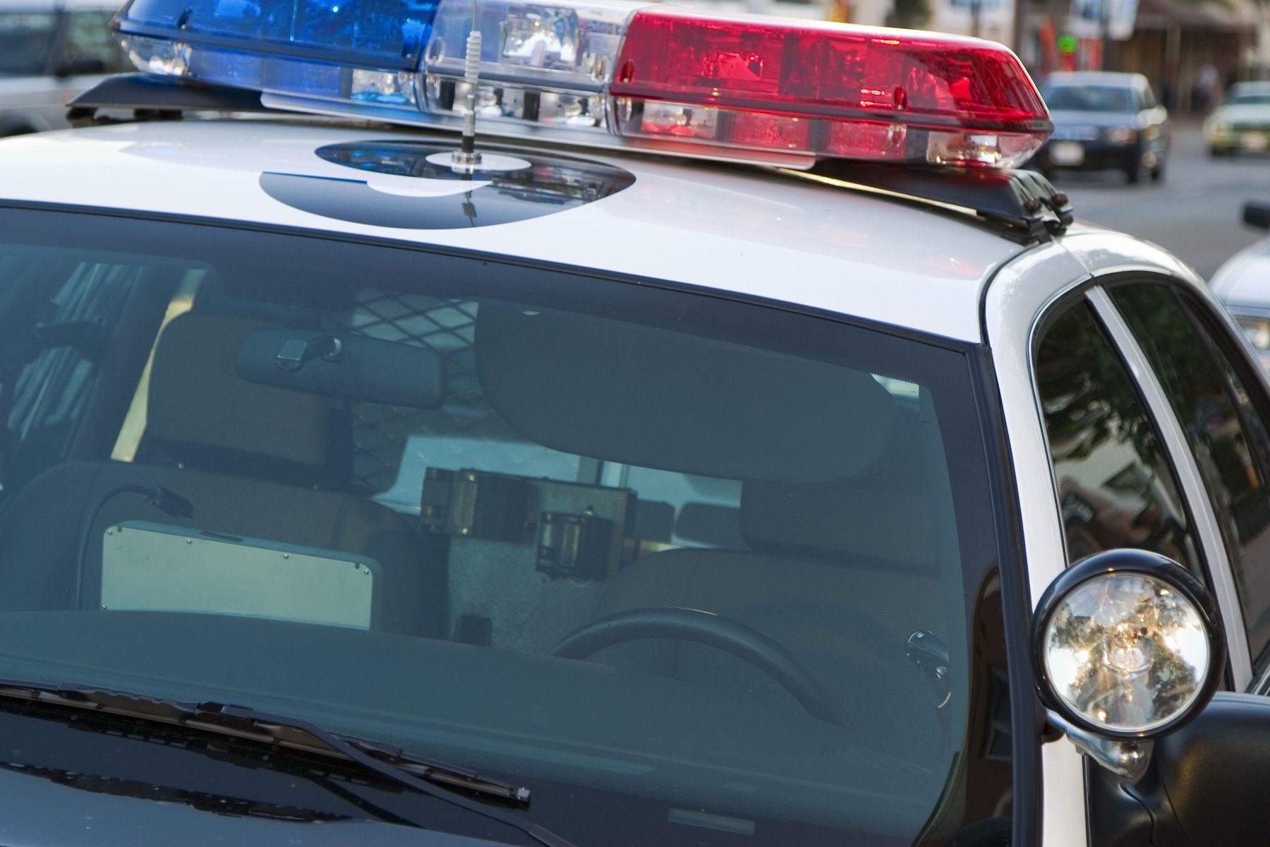 Operacja niedźwiedzi pazur. Oszuści skazani w Kalifornii