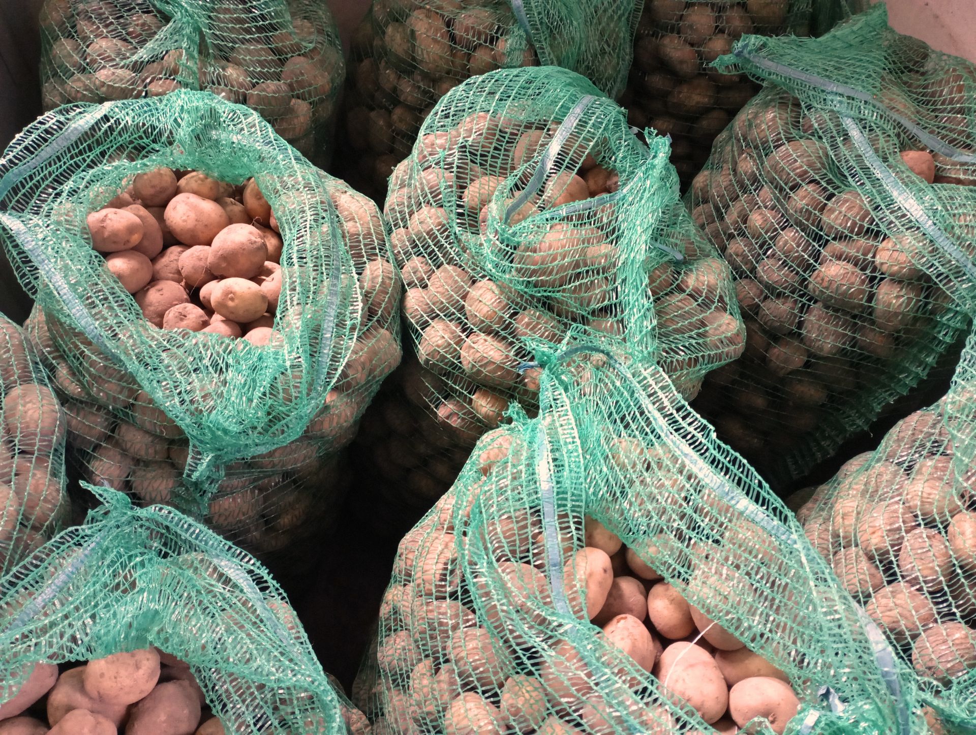 Zebrali ziemniaki, ale nic nie zarobili. "Tak ciężkiego roku nie było"