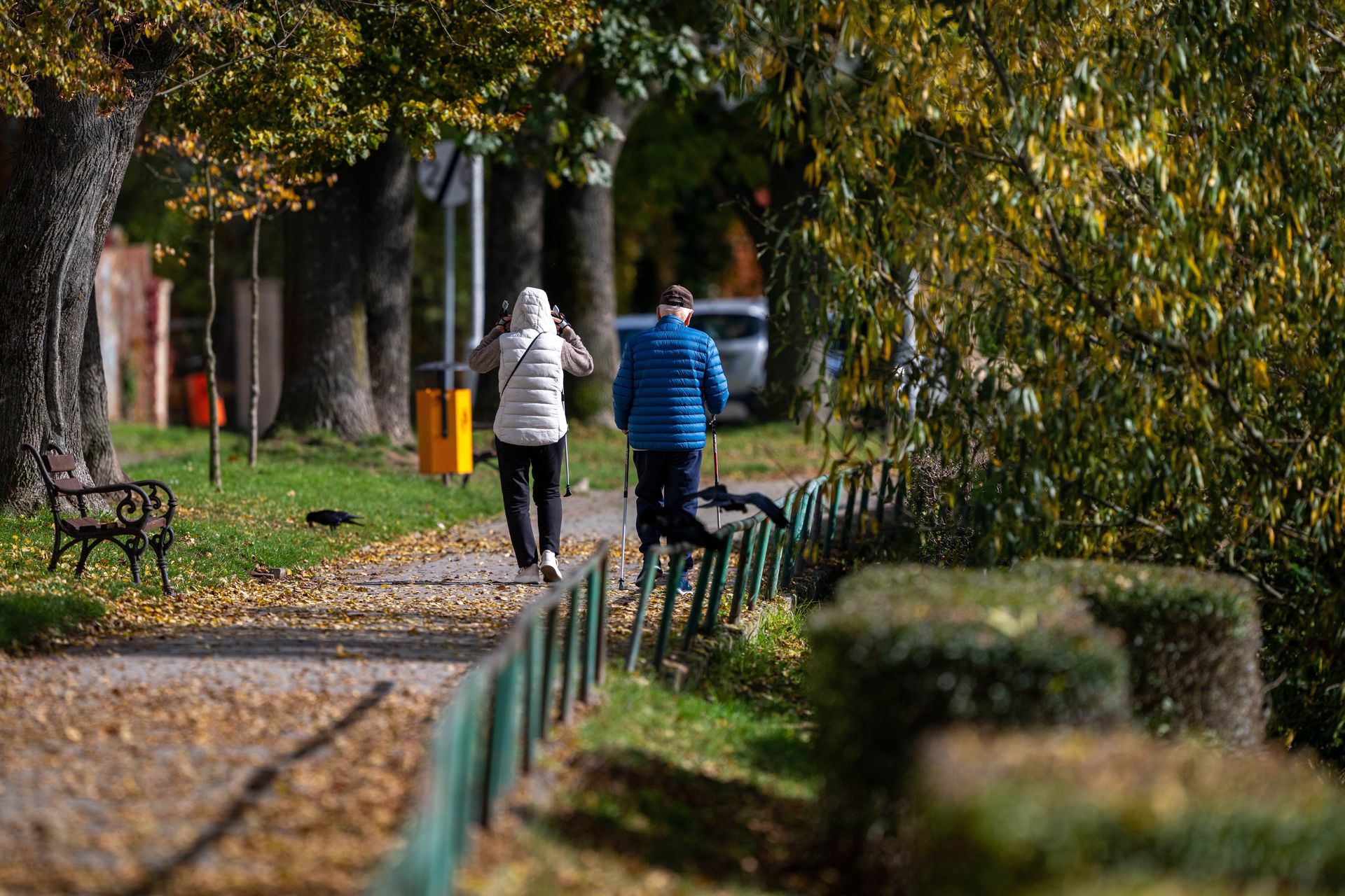 Naukowo o spadających liściach. Specjalista radzi, kiedy odłożyć grabie