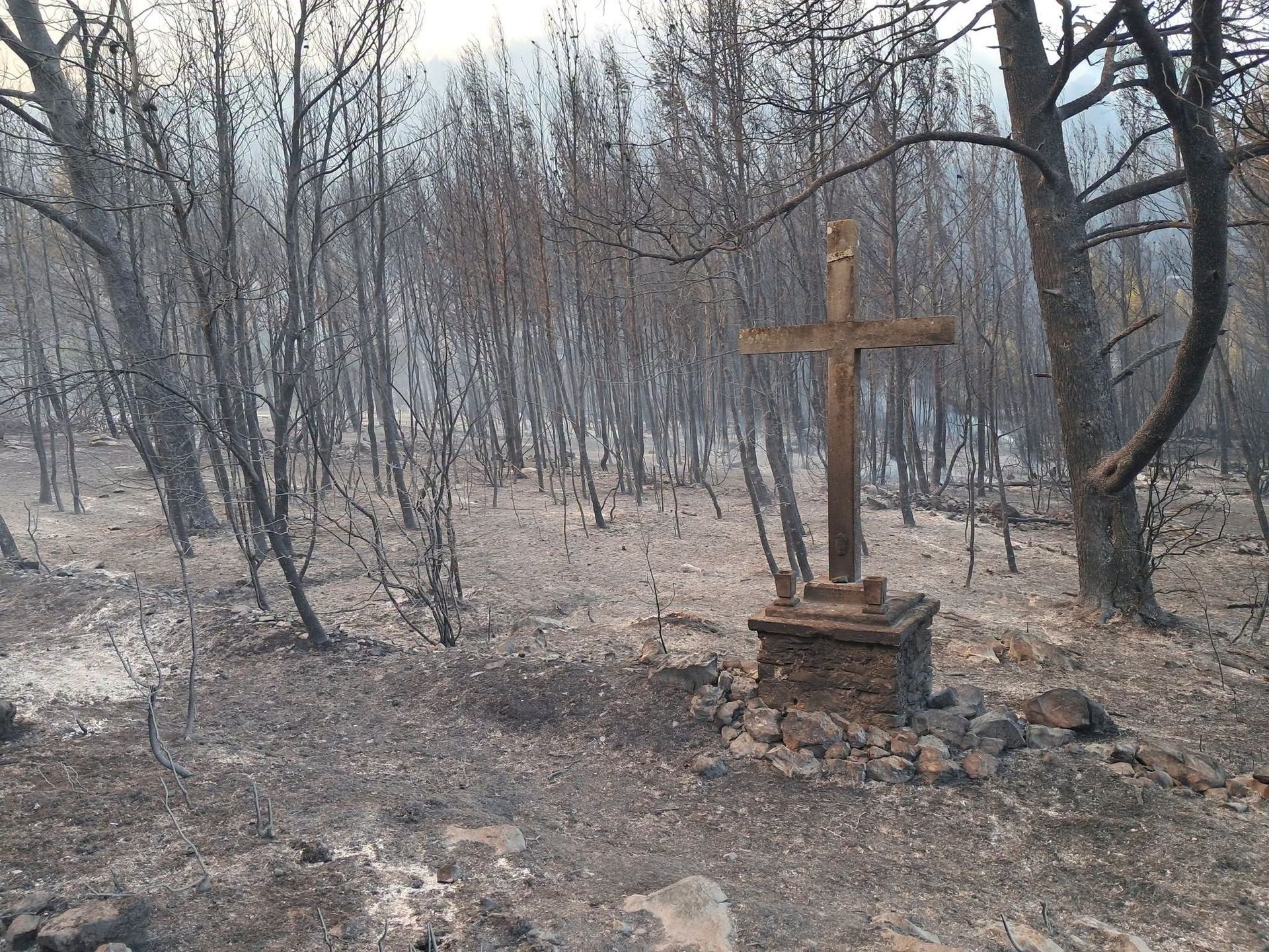 Tragiczny pożar w Chorwacji. Ogień trawi turystyczną wyspę
