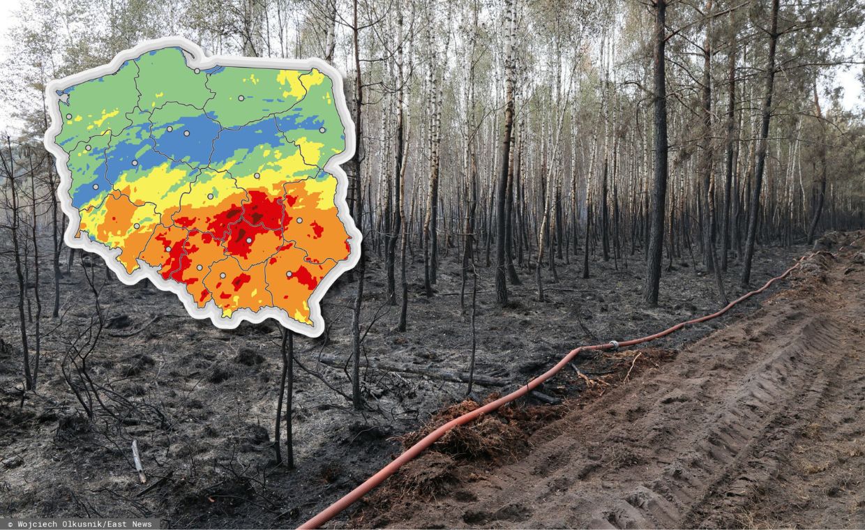 IMGW alarmuje: ekstremalne zagrożenie. Tym razem w lasach