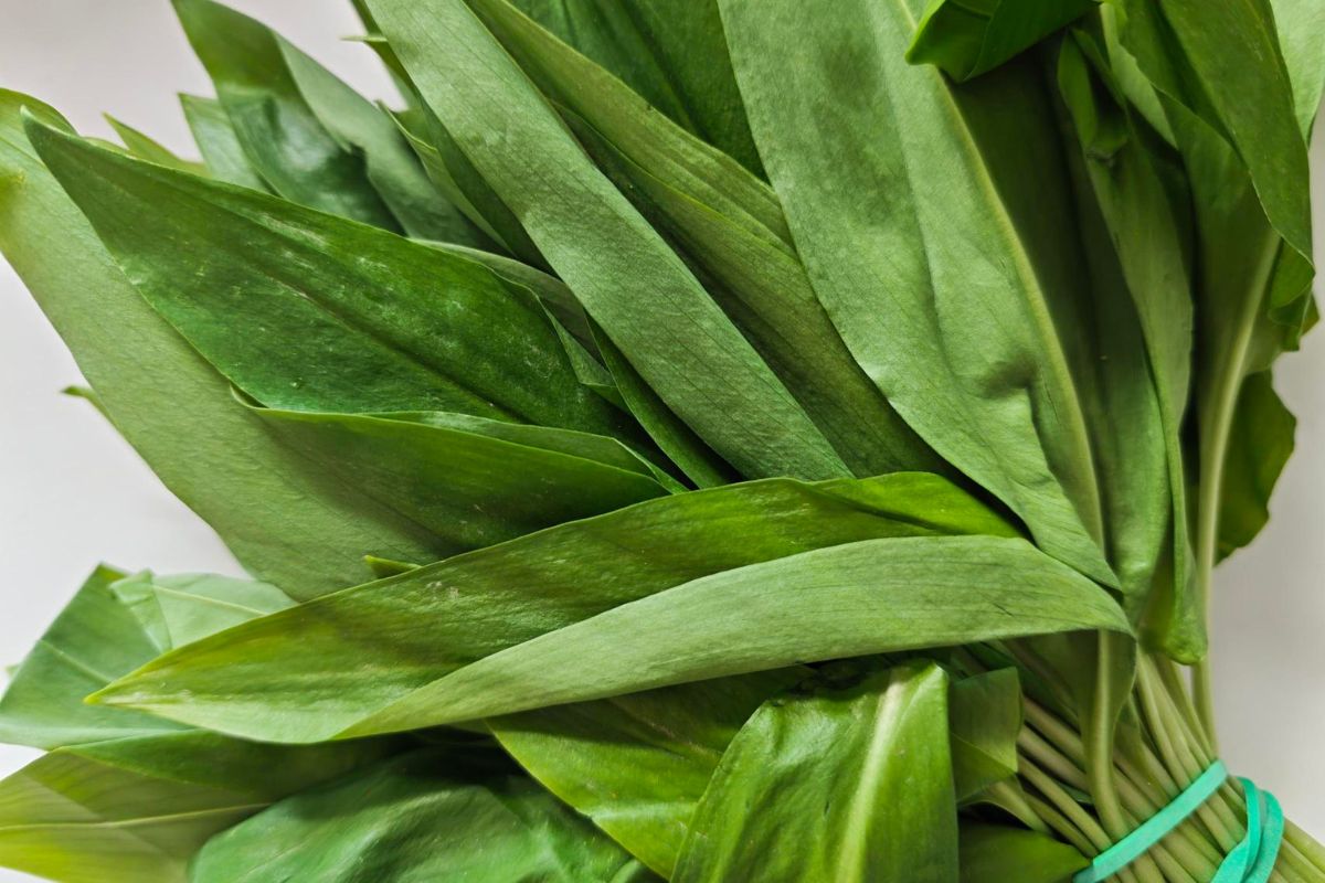 To ostatni dzwonek, żeby spróbować. Pod ochroną, ale można kupić w sklepie