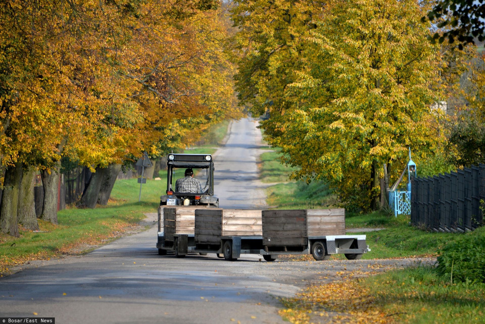 Polscy sadownicy liczą na Ukrainę. Rośnie cena polskiego przysmaku