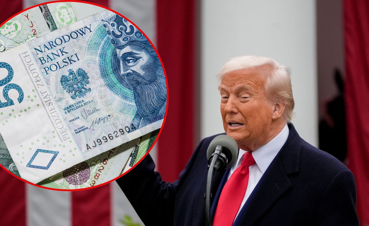 Wojna celna a kursy walut. Jak zareagował złoty?