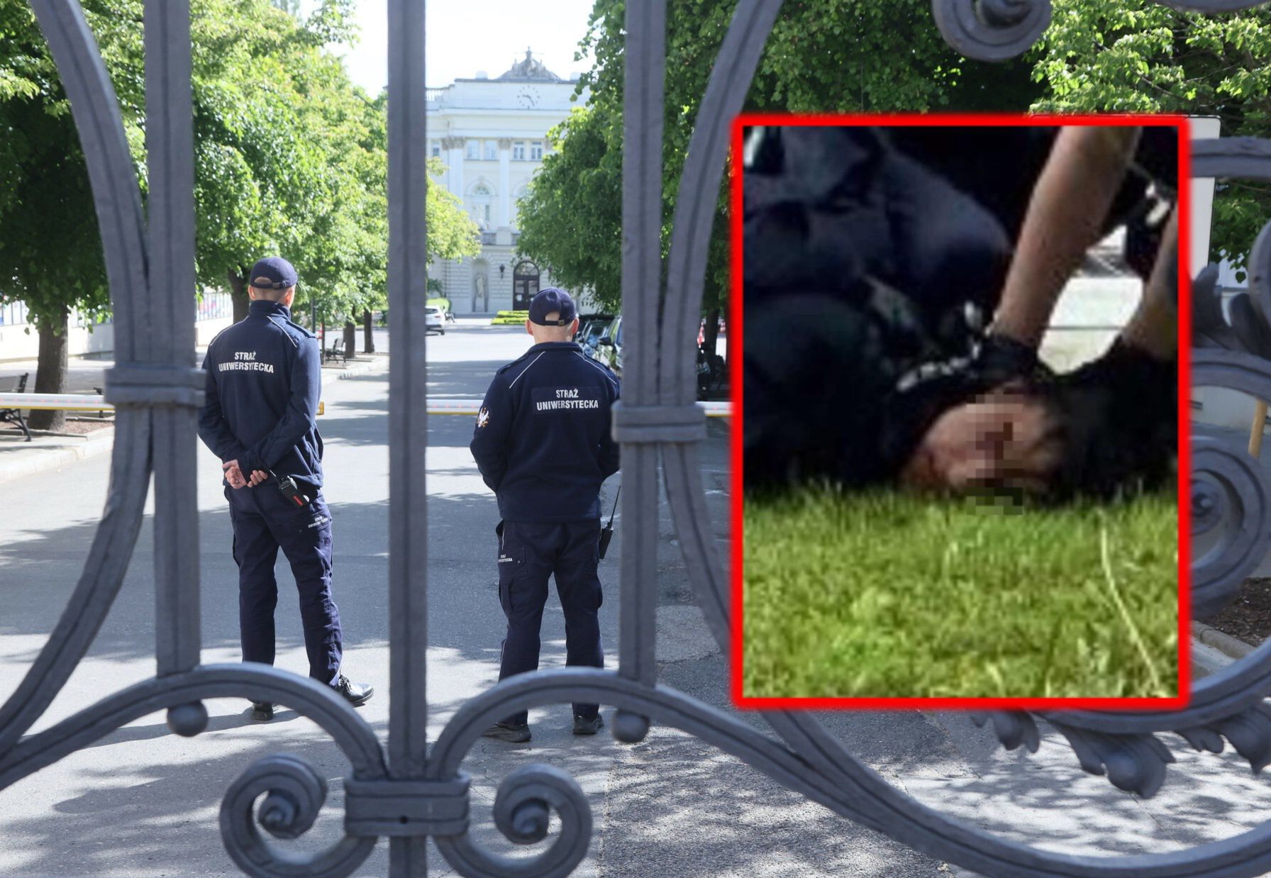 Zamieszanie wokół zbrodni na UW. Adwokat atakuje prokuraturę. Oto linia obrony