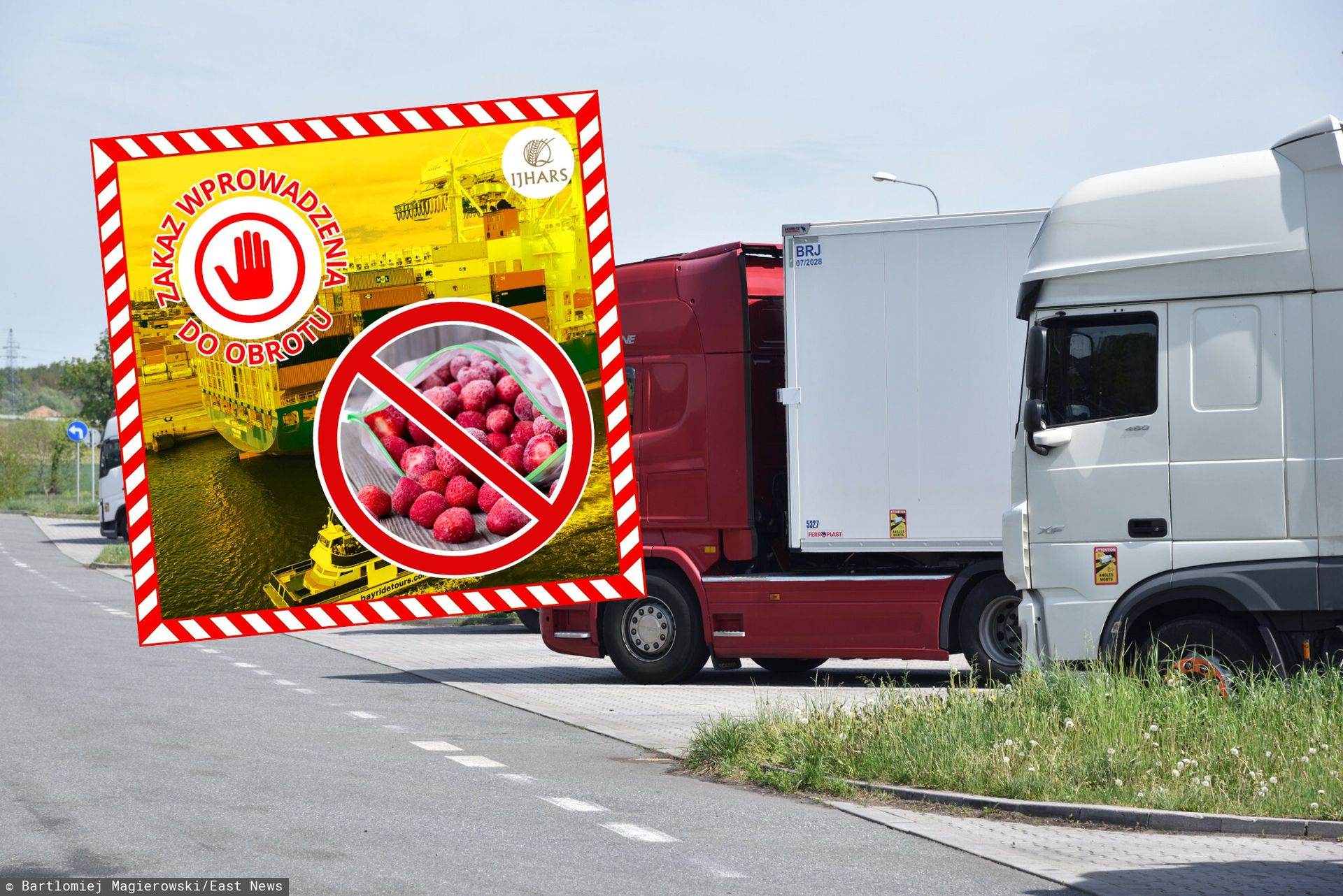 Za takie truskawki podziękujemy. Wykryli pleśń i "oznaki zepsucia"