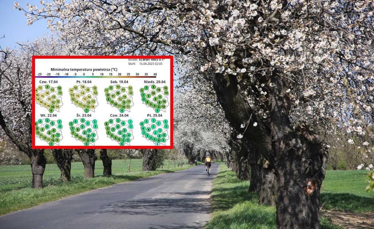 Prognoza na 10 dni. Wróci wiosenny chłód