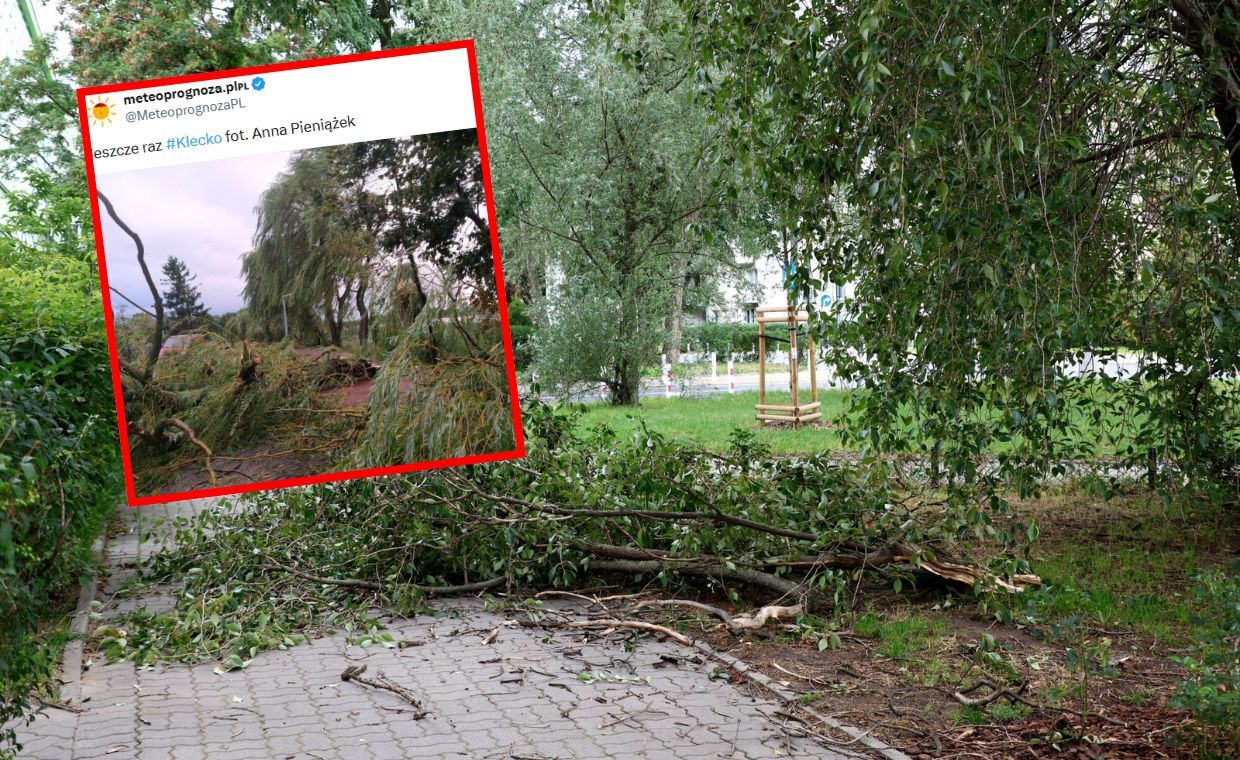 Trąba powietrzna w Wielkopolsce? Strażacy mają setki zgłoszeń