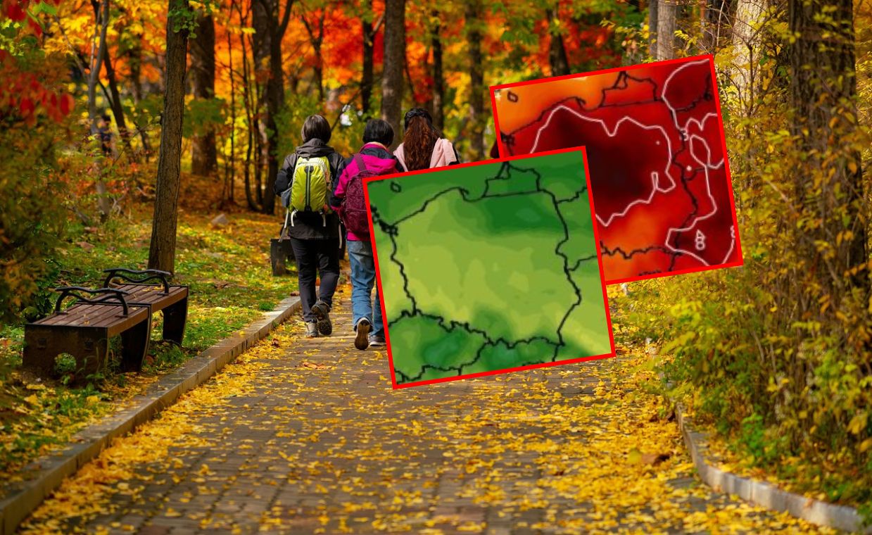 Co przyniesie początek listopada? Prognozy długoterminowe zaskakują