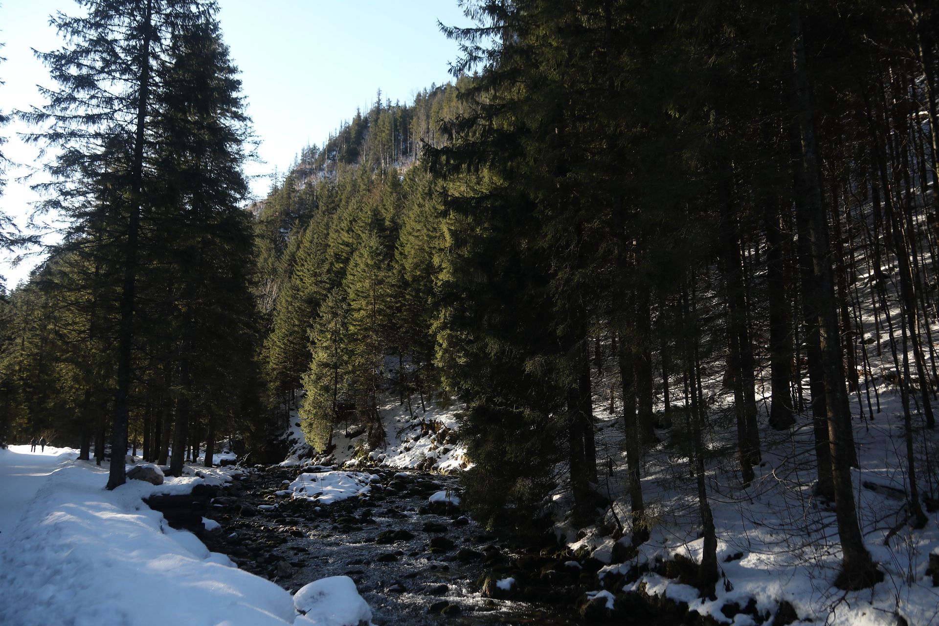 Inwestycja w przyszłość Europy. To może przynieść ogromne korzyści