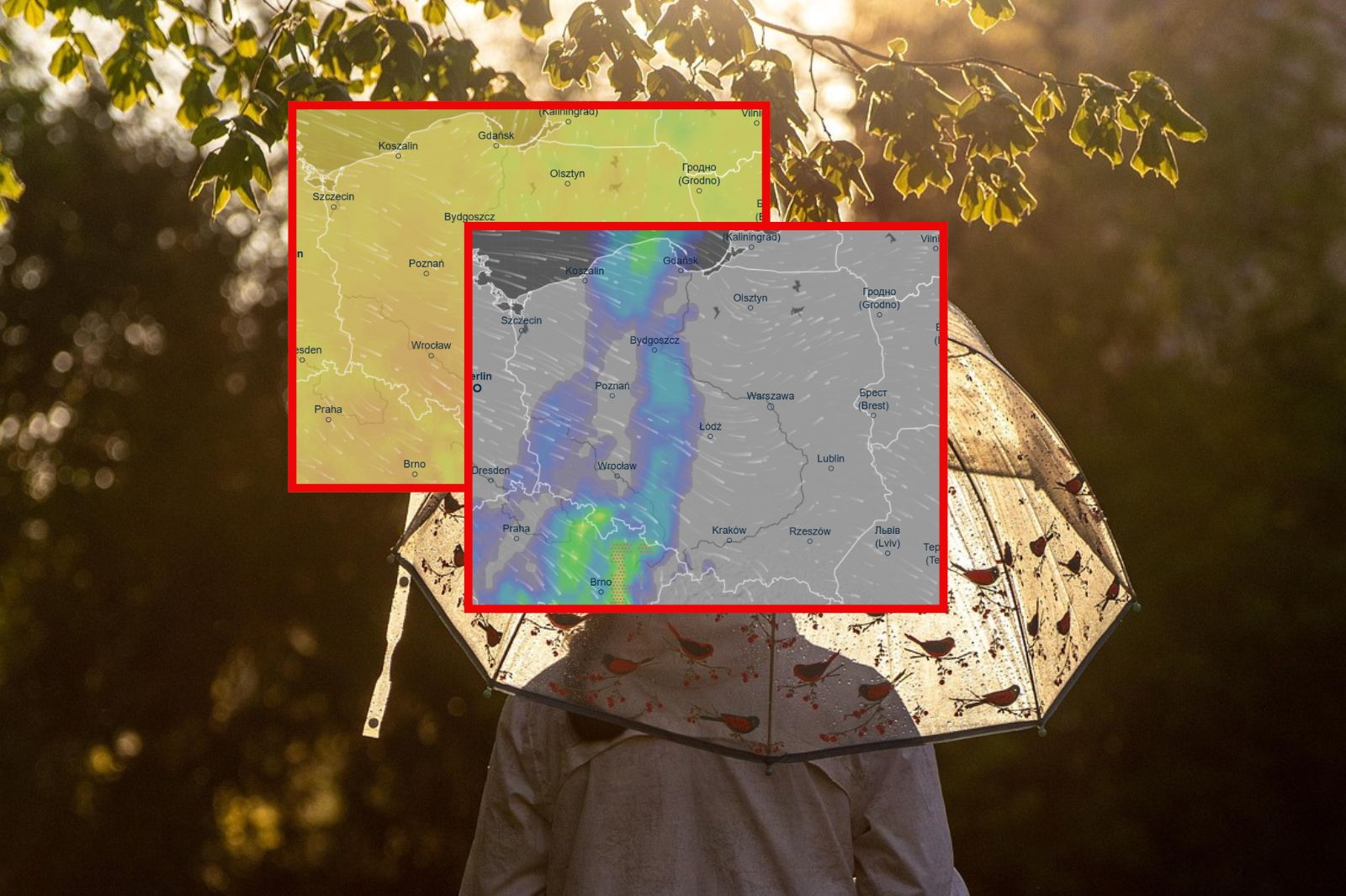 Zmiana pogody w Polsce. Deszcz i burze nadciągają