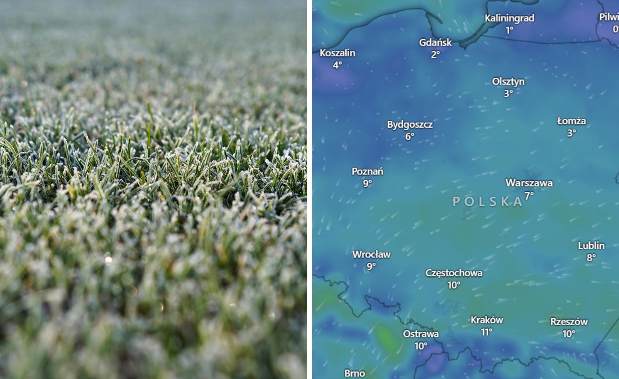 Ciepły początek majówki. Później mogą pojawić się przymrozki