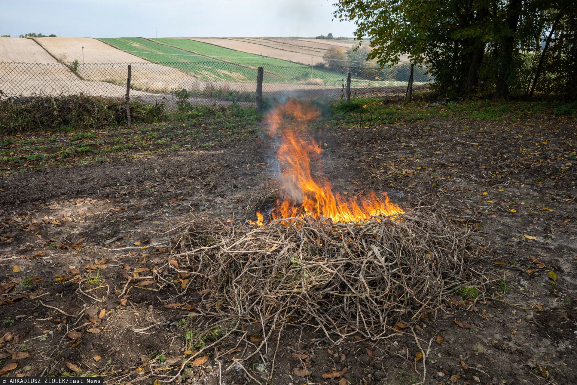 Palenie gałęzi na swojej działce. Oto co mówi prawo