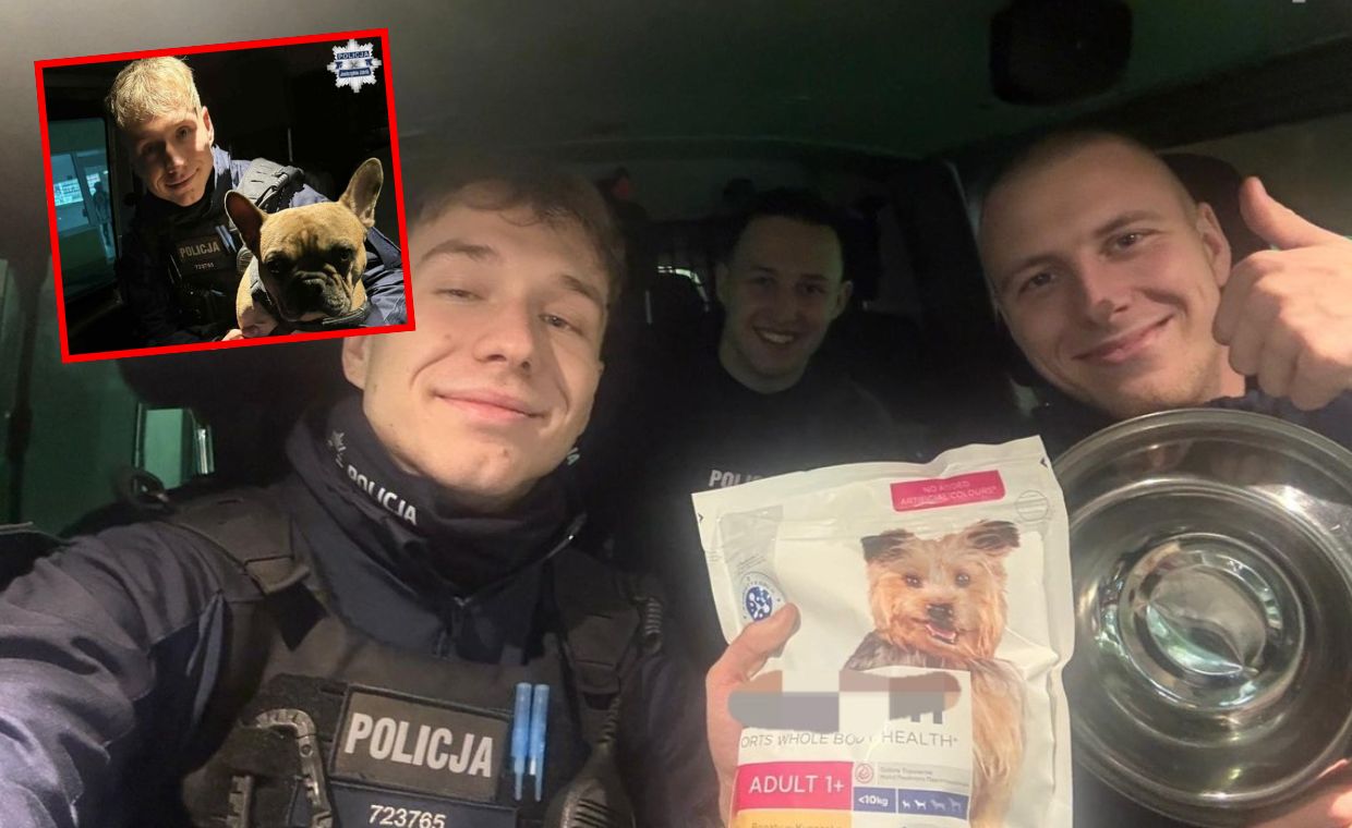 Porzucony buldog na mrozie. Policja znalazła go przywiązanym do drzewa