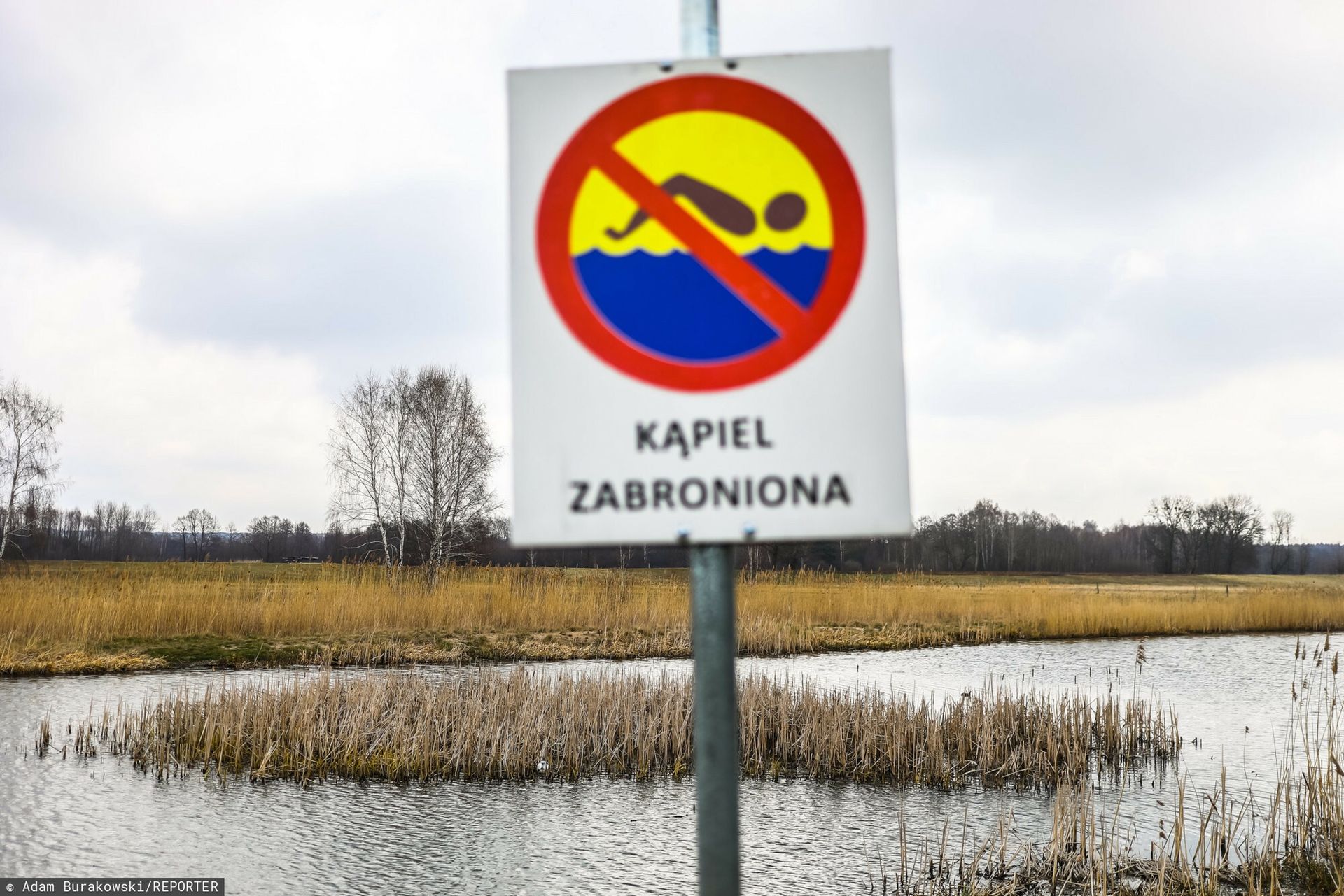 Escherichia coli na kąpielisku. Normy przekroczone aż czterokrotnie