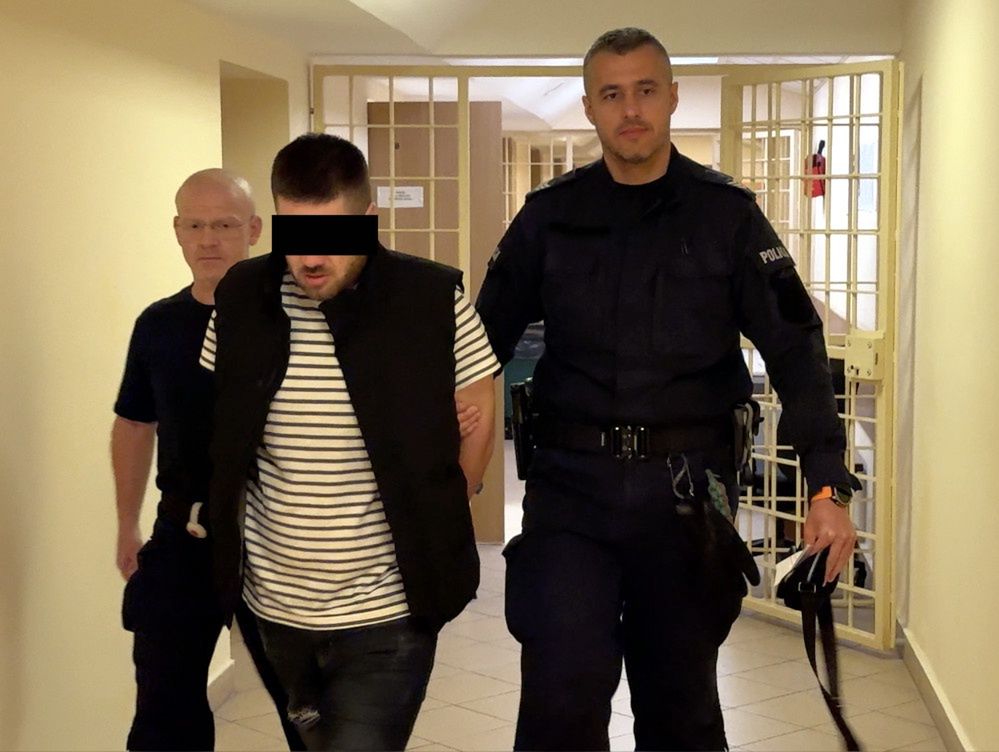 Potrącił pieszą w Warszawie. 27-latek z Gruzji usłyszał zarzuty