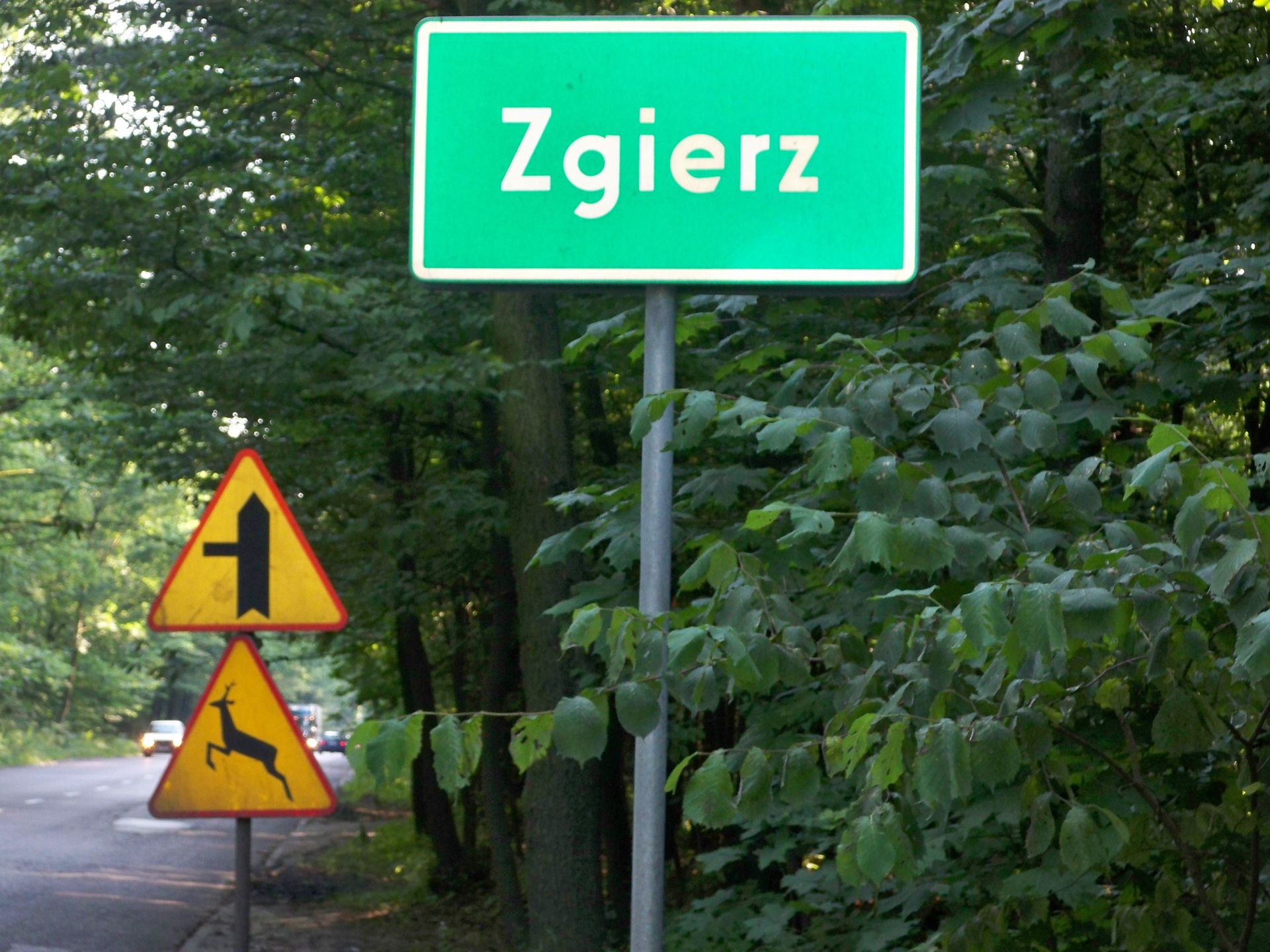 Zagadkowy fetor w Zgierzu. Władze miasta szukają przyczyn