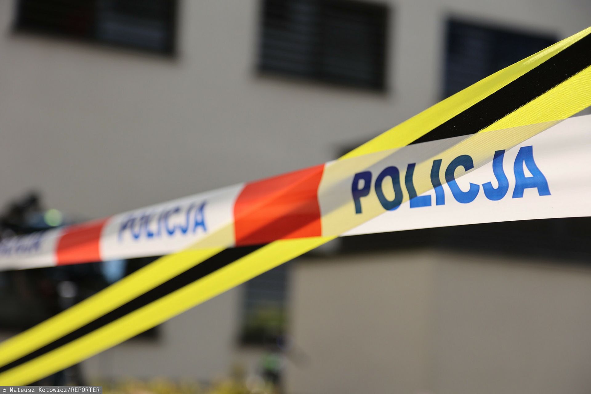 Zabójstwo w Knurowie. "Sztywnej" Ewy bało się całe osiedle
