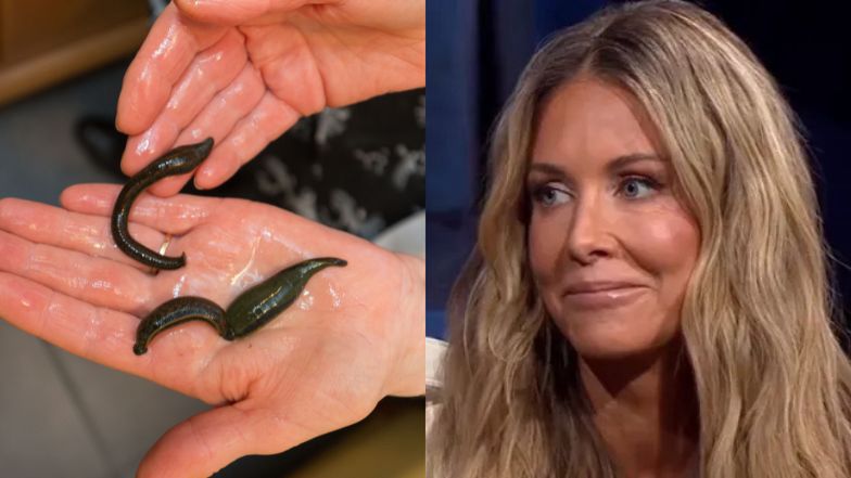 Małgorzata Rozenek spowiada się z cichego "marzenia": "Chcę być GRYZIONA przez PIJAWKI"