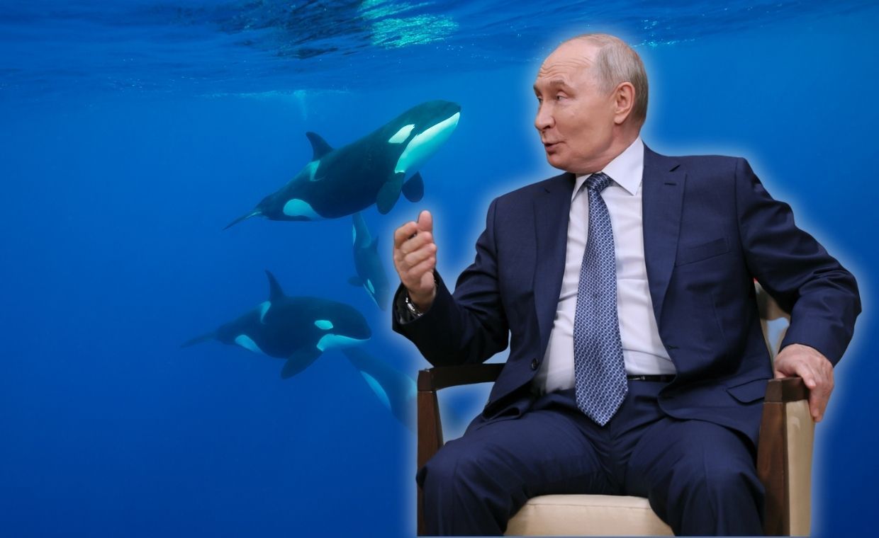 Putin znów uzasadnia wojnę w Ukrainie. "Taki jest łańcuch pokarmowy"