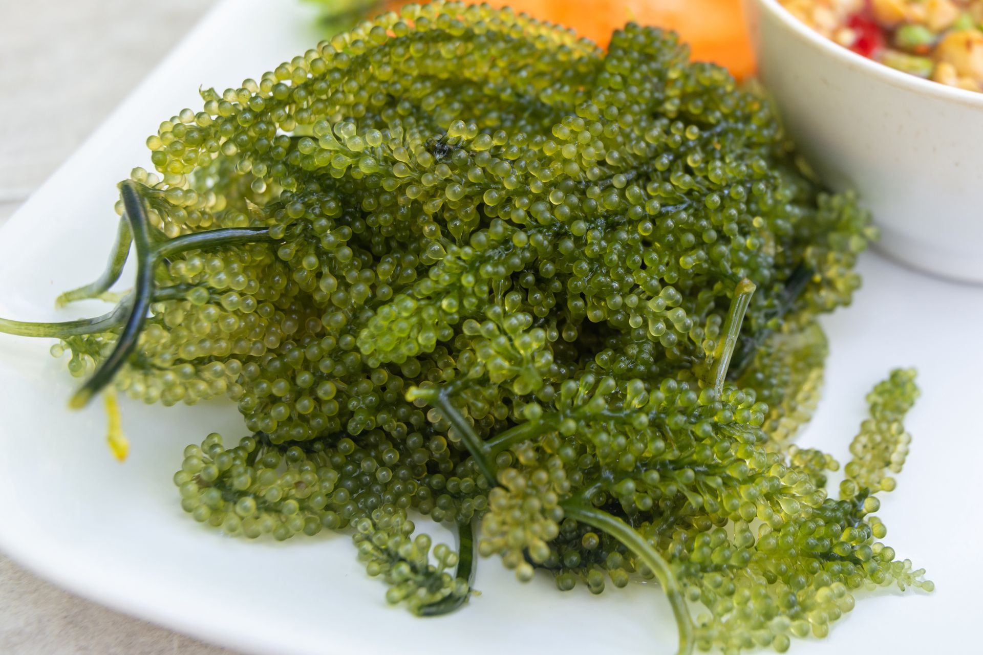 Nazywają to morskim kawiorem. Działa odmładzająco i wspiera tarczycę