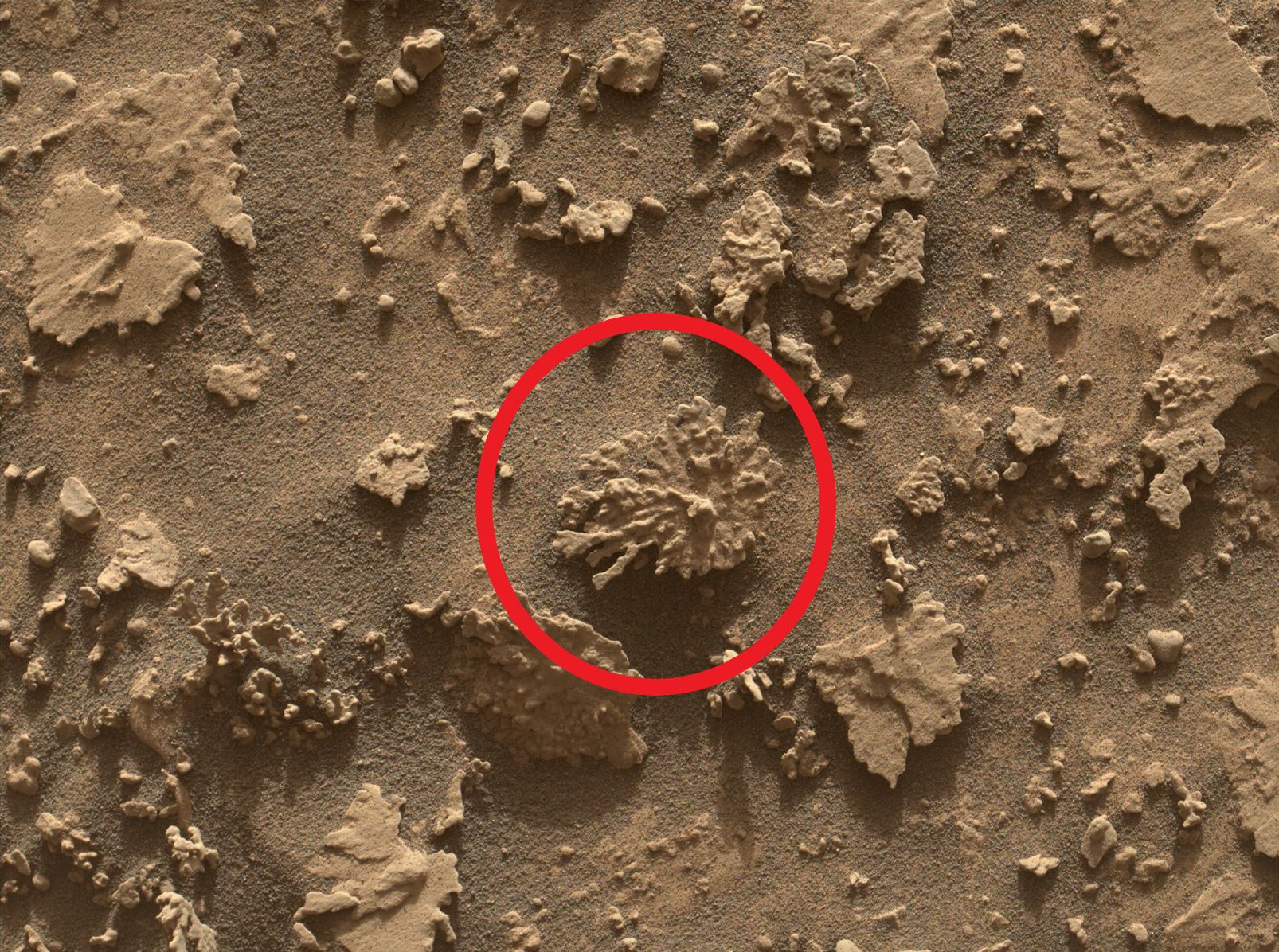 Niezwykły obiekt na Marsie. Takiego naukowcy jeszcze nie widzieli