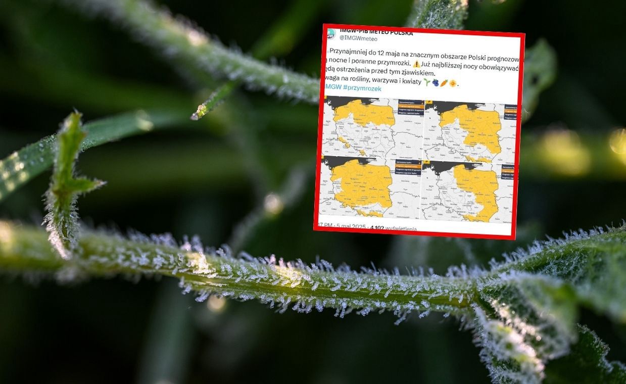 Arktyczny podmuch nad Polską. Złe wieści od synoptyków