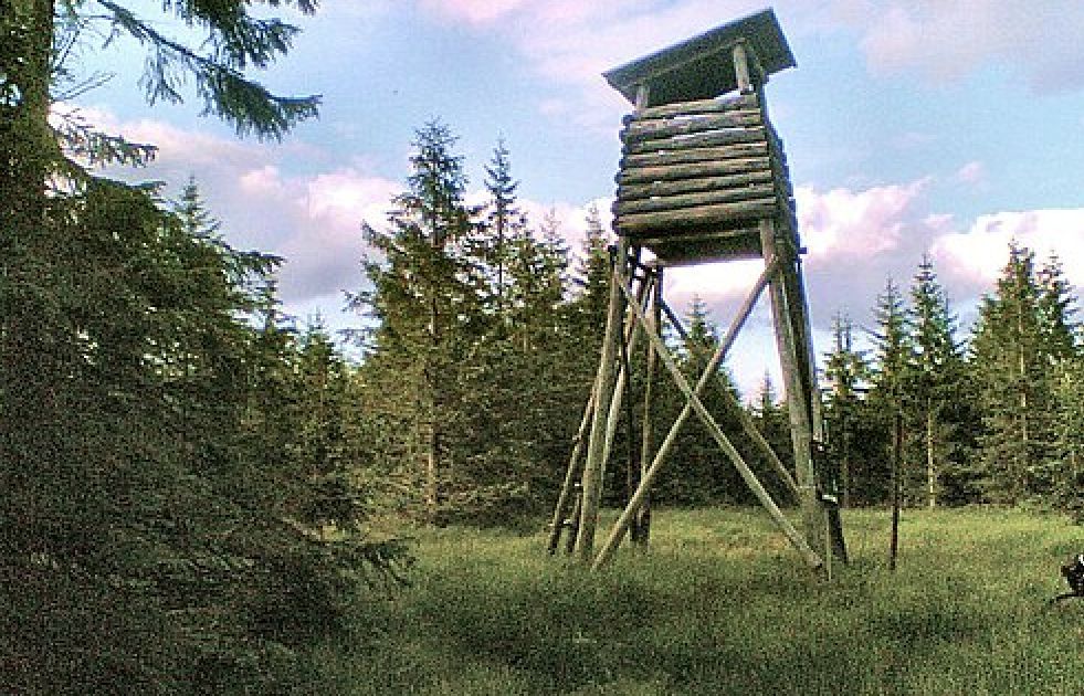 Myśliwy postrzelił kolegę. Policja bada incydent w Napiwodzie