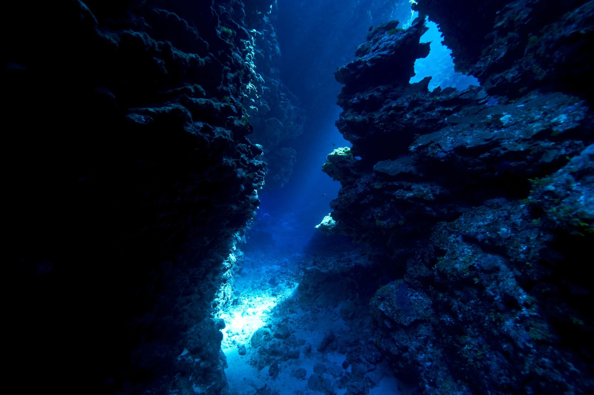 Największe podmorskie złoże metali. Znaleźli tam tysiące wirusów