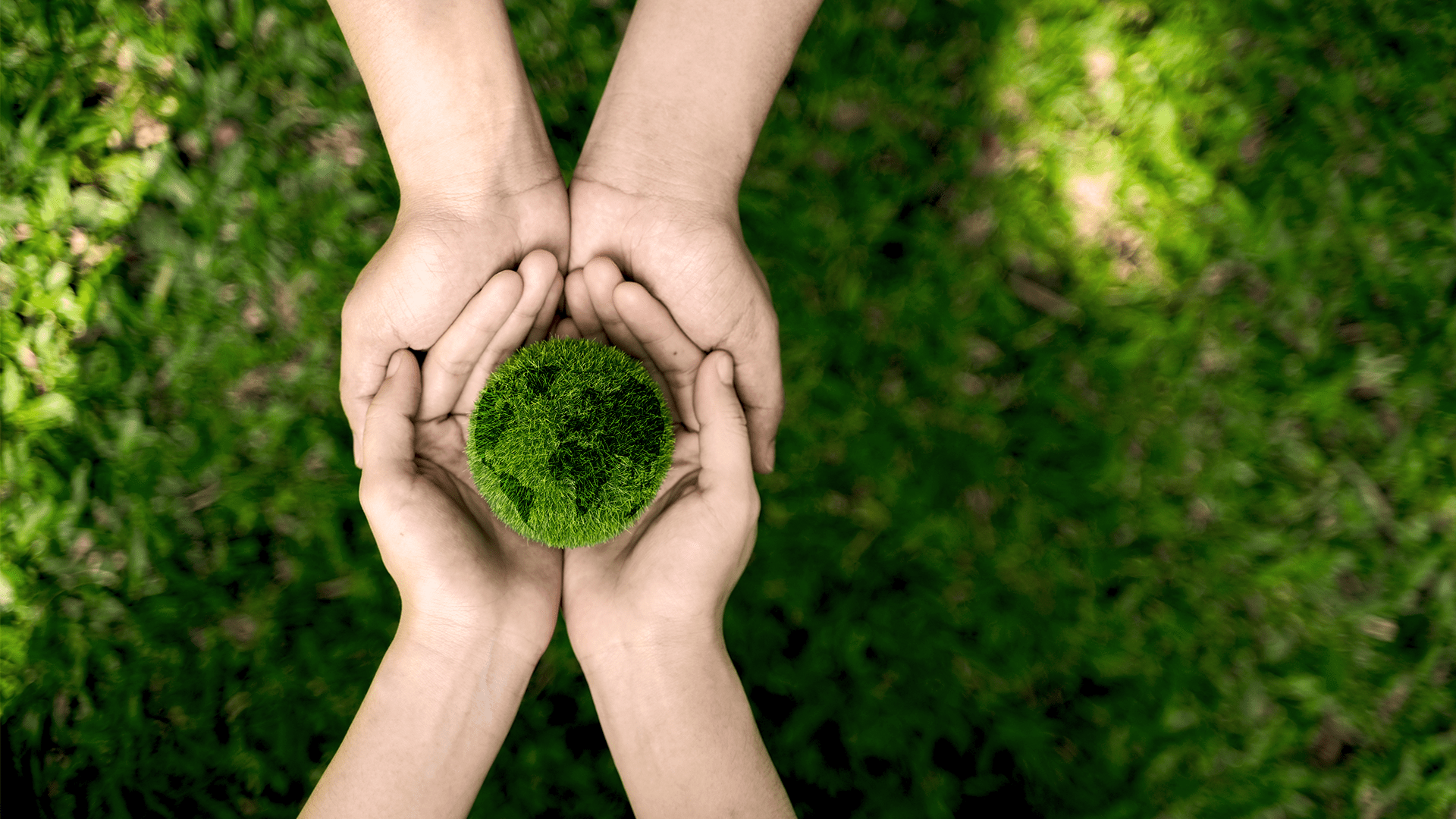 Energia zmiany zaczyna się lokalnie. Tu kształtuje się przyszłość