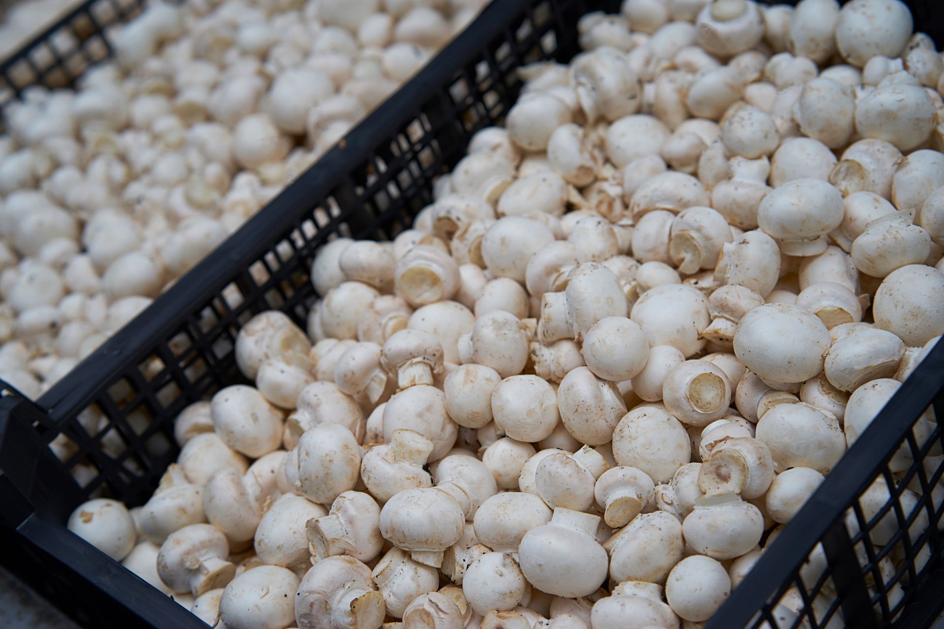 Pieczarkowy gigant rozpoczyna restrukturyzację. Oto plan