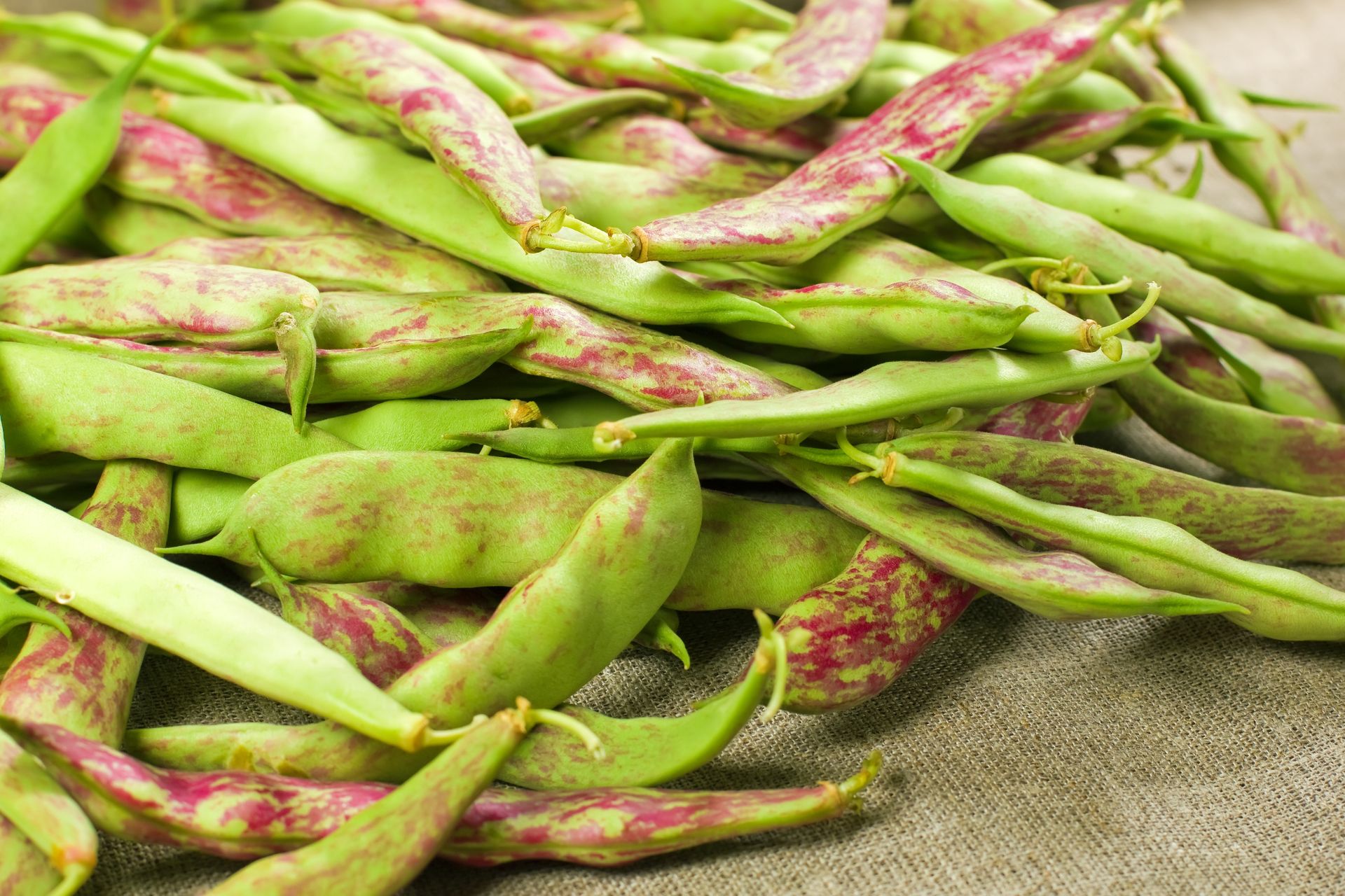 Jedzenie takiej fasolki może skończyć się poważnym zatruciem. Lepiej unikaj