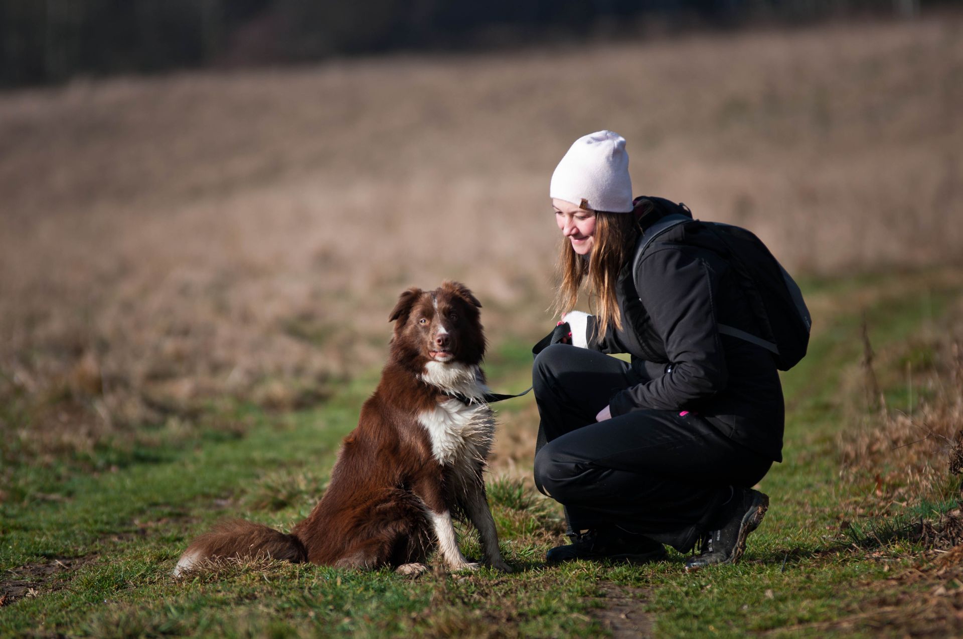 Opłata za psy. Chcą, by Polacy zaczęli płacić. Wskazują na Niemcy