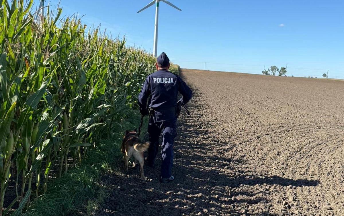 Nietypowe pułapki na polach. Policja ostrzega