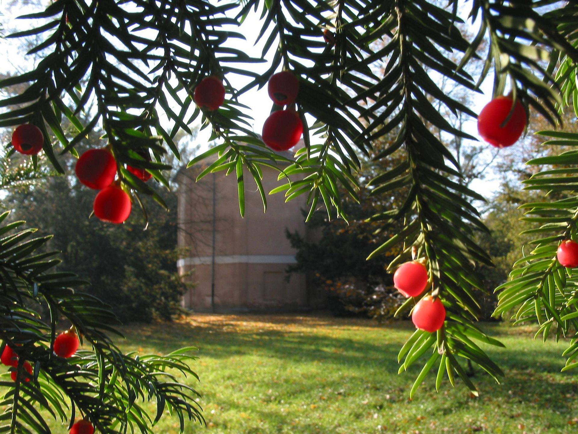 Ta atrakcja przeżywa oblężenie. Apelują o zmiany terminów wizyt