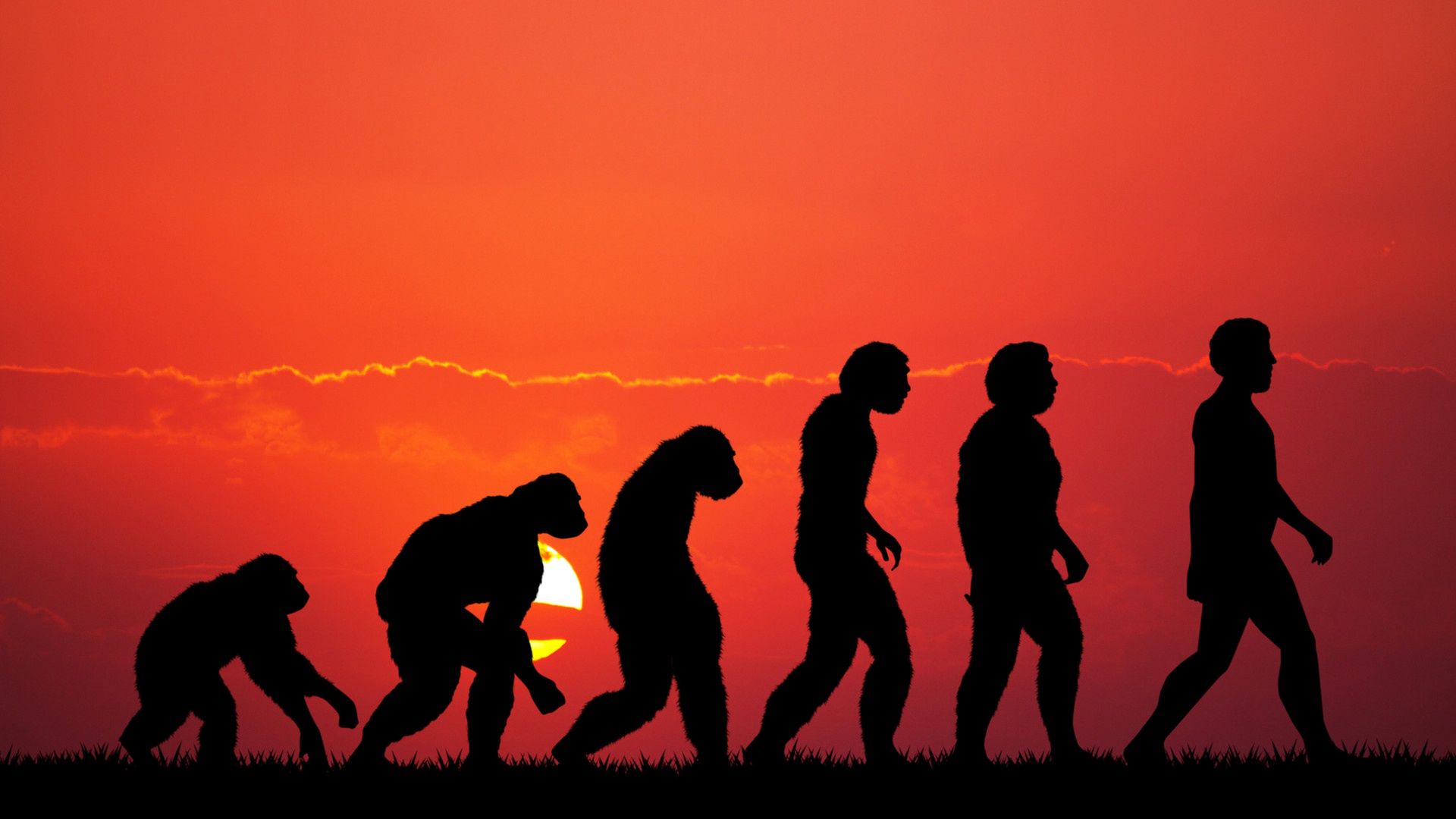 Czeka na nowe imię. To nowy gatunek australopiteka