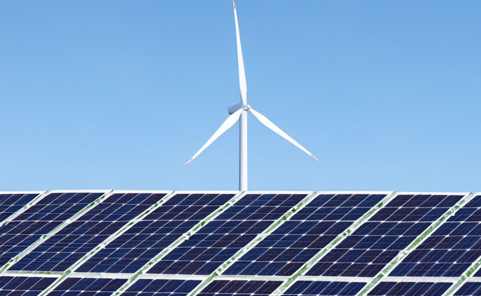 Stanowią 40 proc. Odnawialne źródła energii zyskują na znaczeniu
