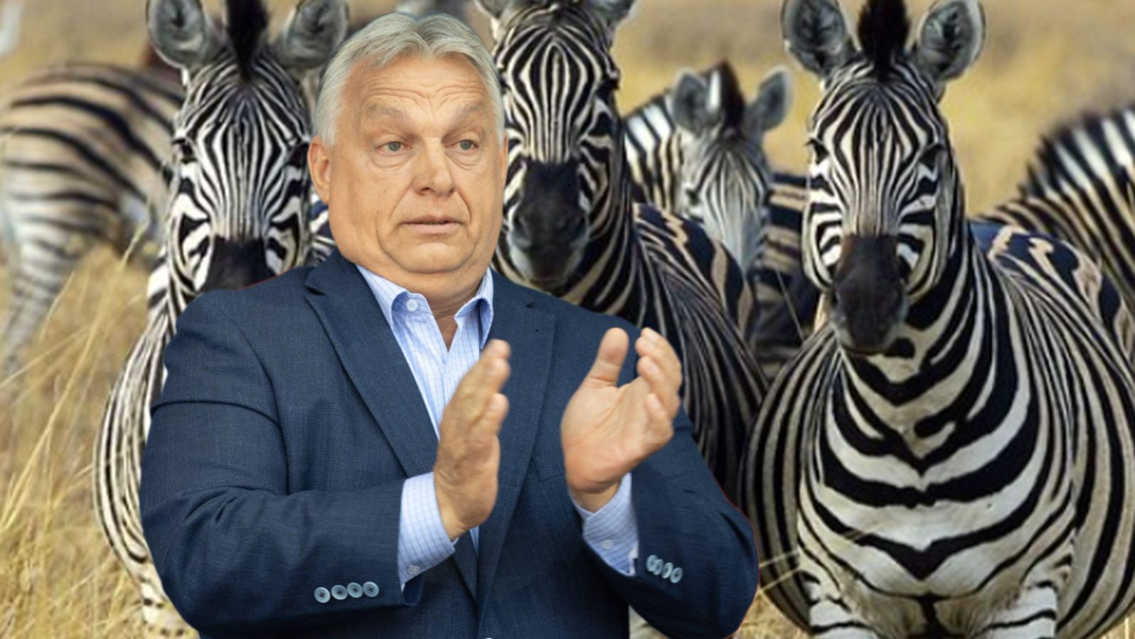 Biedny jak Orbán. W bajki opowiadane przez premiera wierzą już tylko najwierniejsi