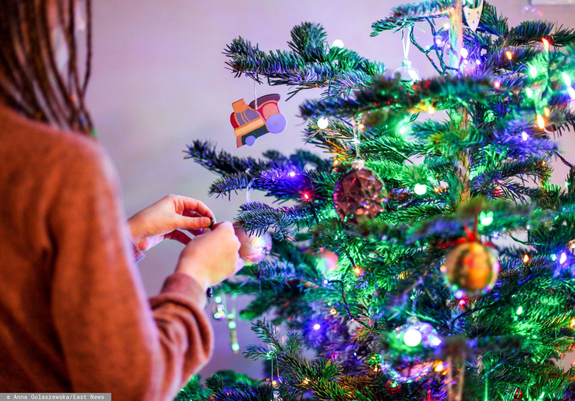 Jak nie polskie, to jakie? Choinkowe żniwa trwają. Ceny przed świętami
