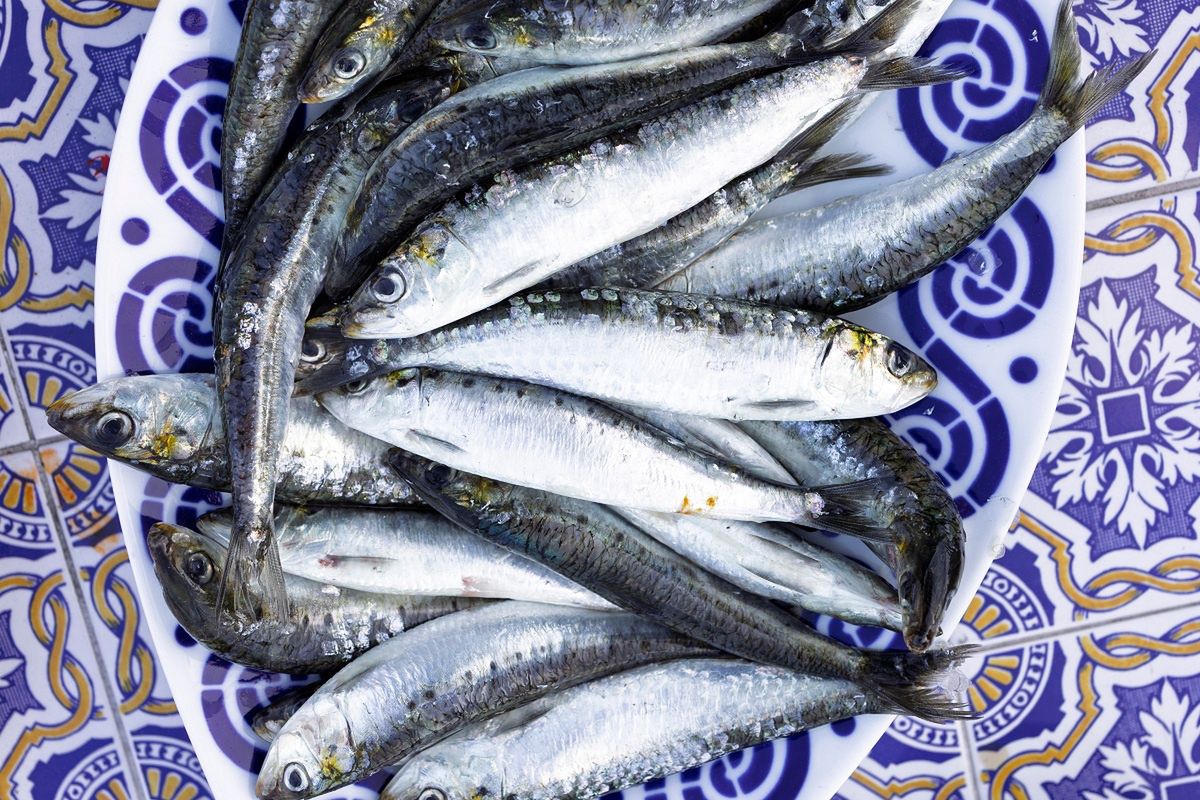 Jedne z najlepszych ryb na świecie, a my ich nie doceniamy. W Polsce kupisz bez problemu