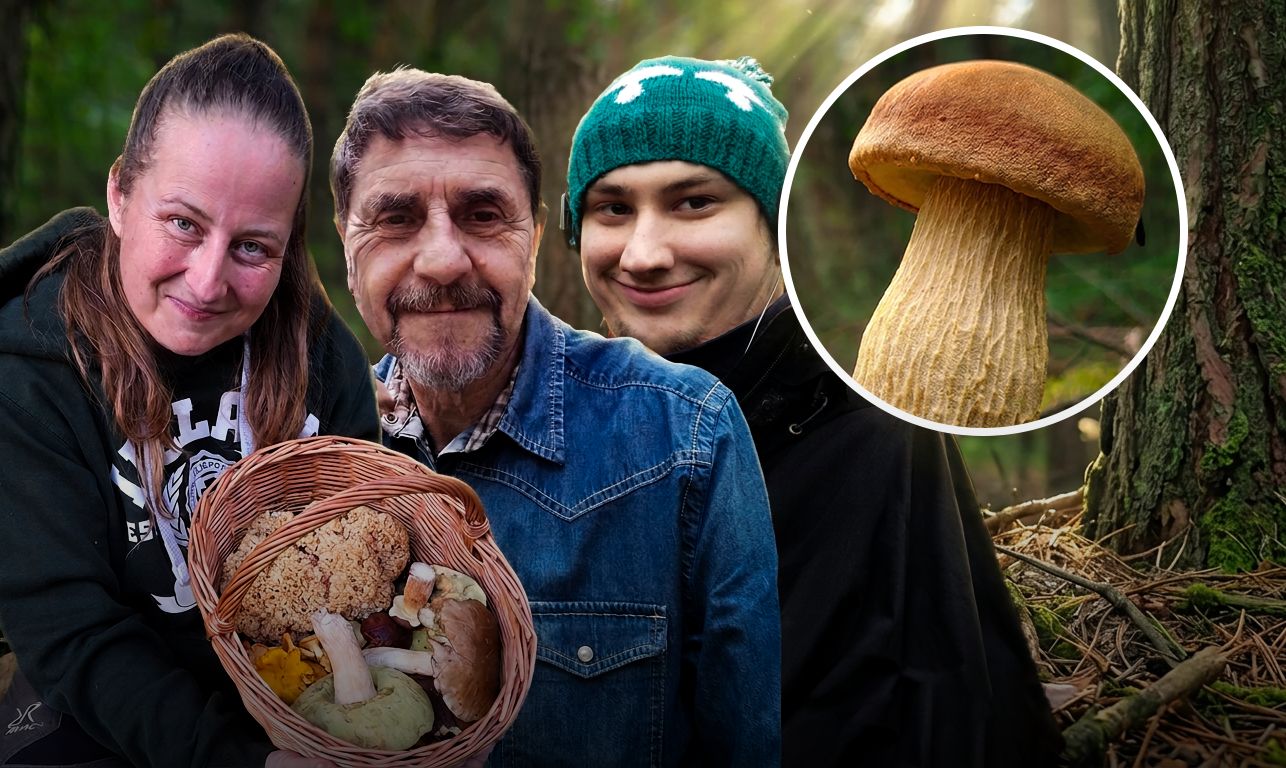 "Amerykanin" opanował polskie lasy. Jest smaczny, ale eksperci ostrzegają