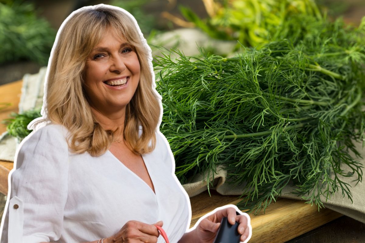 Ewa Wachowicz nie mrozi koperku. Ma sprytniejszy i łatwiejszy sposób na przechowywanie