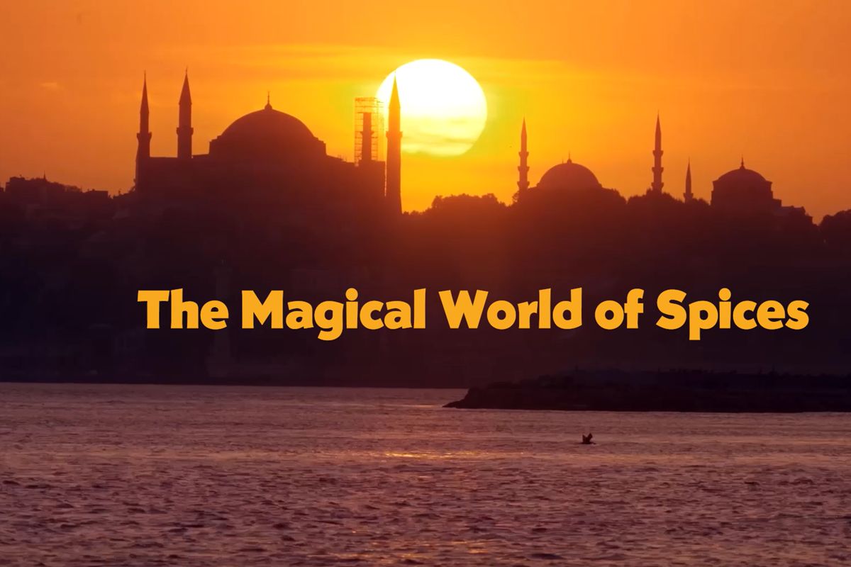 Produkcje na potrzeby Kabel Eins, Arte i ZDF trafią do stacji Canal+ Polska