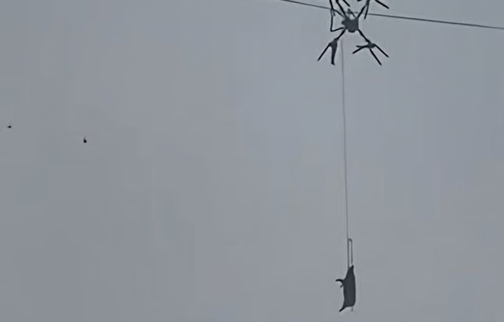 Przyczepił świnię do drona. Będzie go to słono kosztować