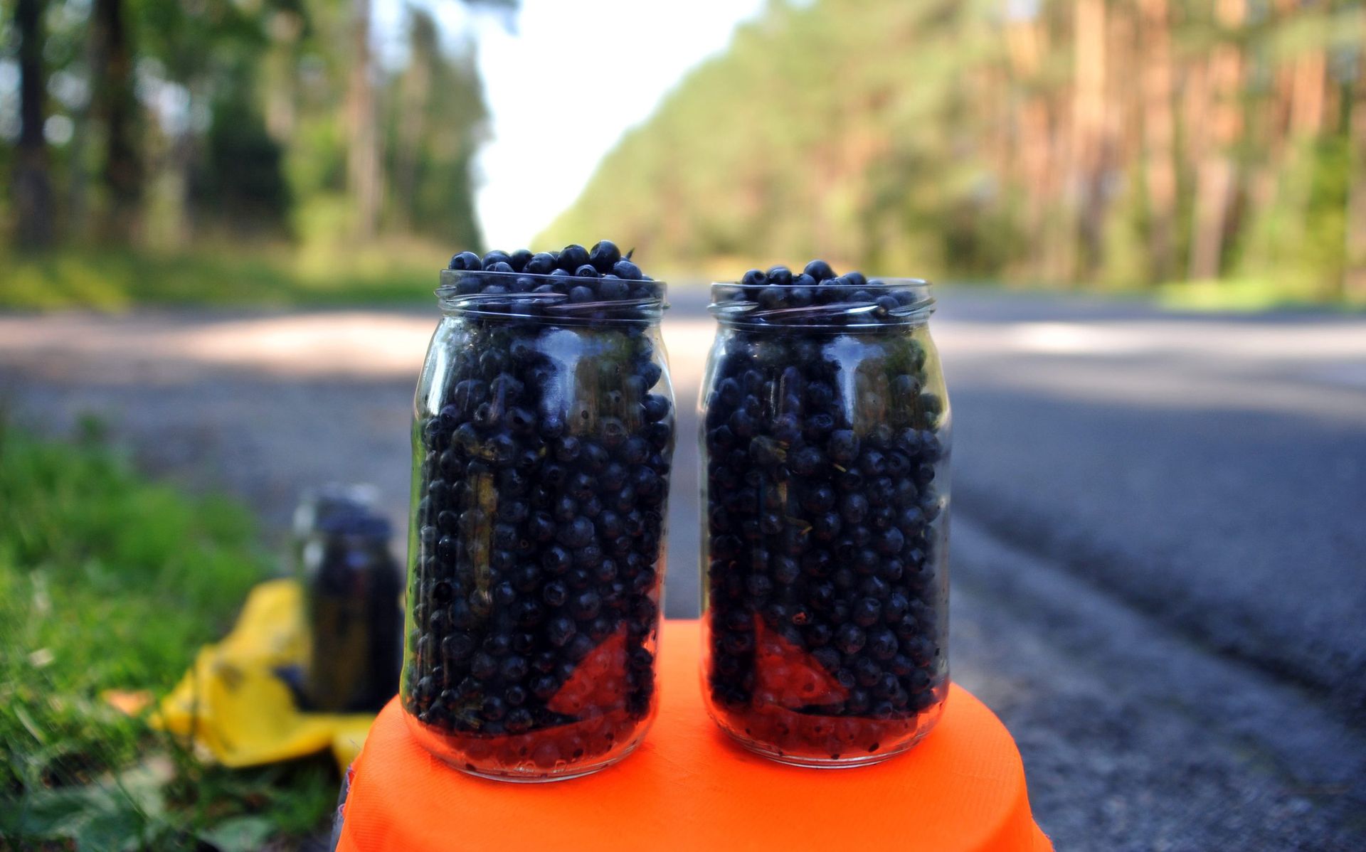 Sprzedawcy jagód załamują ręce. "Przy drogach po kilka słoików"