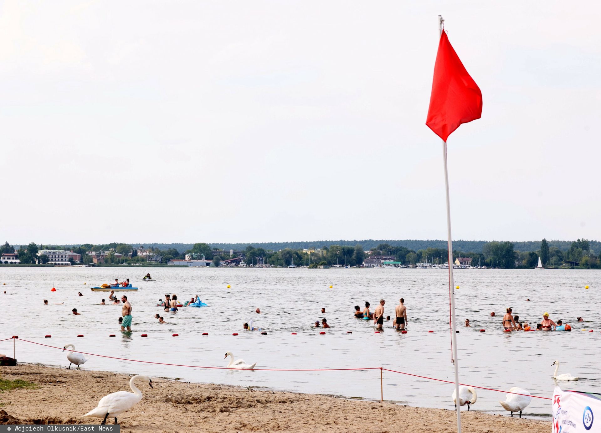 Zakwitły już sinice. Zamknięte kąpieliska na Pomorzu