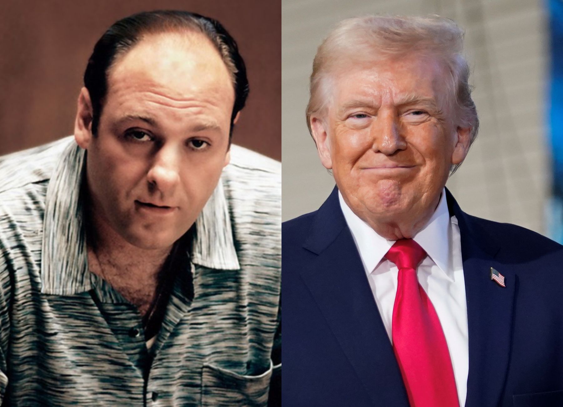 Potomkowie imigrantów za Trumpem? Wyznanie gwiazdy "Rodziny Soprano"