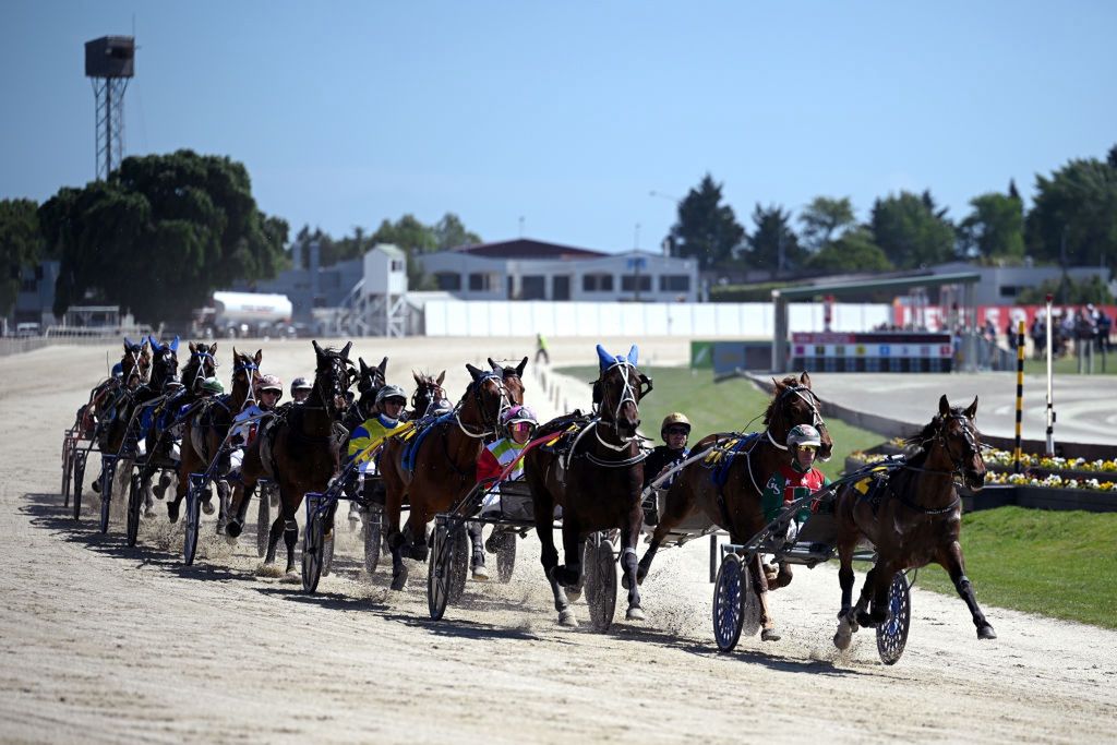 Na koniach zarobił tyle, iż nie myśli o piłce. Biznes trenera Szwecji