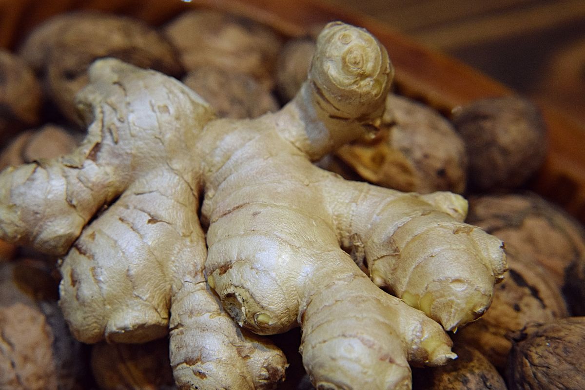 Tak przechowuj imbir. Inaczej gwałtownie zacznie się marszczyć i pleśnieć