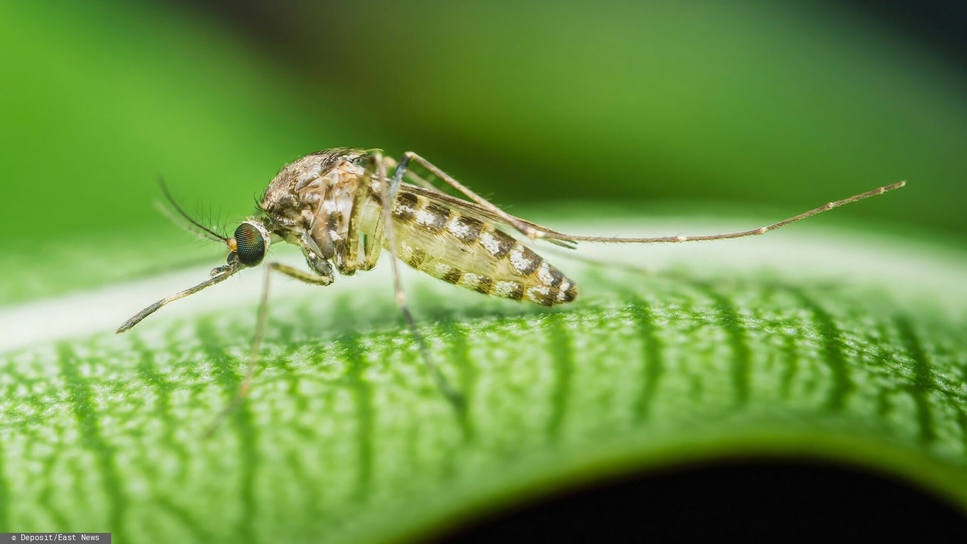 Wirus szaleje w Chinach. MSZ ostrzega podróżujących Polaków